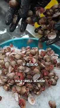 Blood Cockles Aren’t Just Delicious — They’re Packed with Nutrition! #Newfresh #seahum #cockles