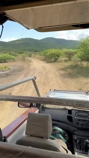 Good morning ☀️ #StLucia#SouthAfrica #Elephantcoastguesthouse www.elephantcoastguesthouse.com — in Saint Lucia, Kwazulu-Natal, South Africa. | Elephant Coast Guesthouse