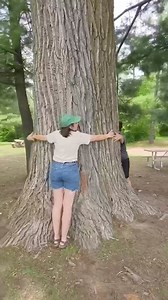 À quoi ça ressemble une tournée de Nature Québec dans les coulisses? 👀 On vous partage quelques « bloopers » de notre équipe du projet « En mode solutions nature » pour souligner la fin de sa tournée à travers 10 municipalités du Québec. 🙈 Encore merci aux municipalités participantes pour leur accueil chaleureux! 🤩 | Nature Québec