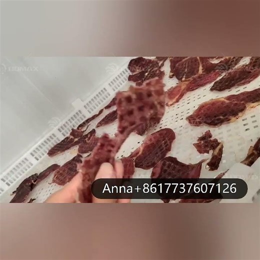 Best Price Meat Analogue Production Line Beef Jerky Dried Pork Slices Processing Line