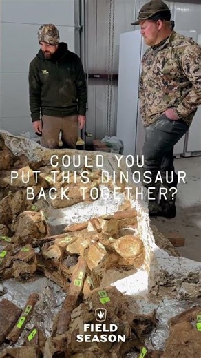 This is What a Dinosaur Looks Like in a Jacket