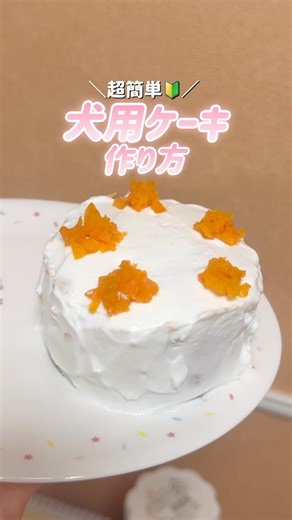 愛犬の誕生日に手作り犬用ケーキ🎂#犬用ケーキ #手作りケーキ #誕生日ケーキ