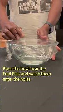 How to get rid of Fruit Flies #fruitflies #vinegar #science #viral #viralvideo #viralshorts #stem