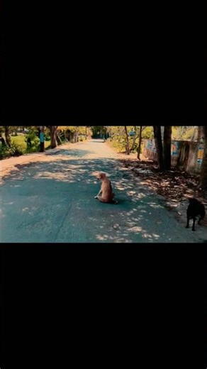 Mini Vlog ✨ A Day in My Life | Small Moments, Big Dreams