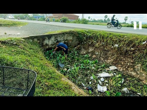 Remove Floating Plant Flow Clogged Culvert On Street