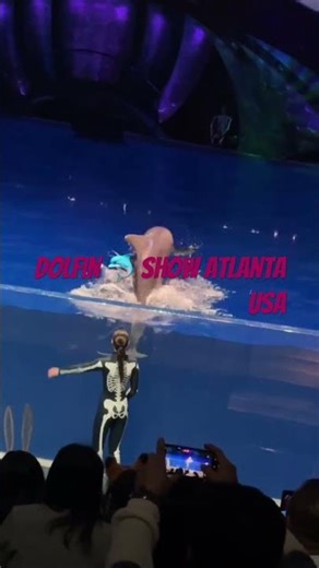 Dolfin 🐬 show atlanta USA##yt ##youtubeshorts atlanata USA