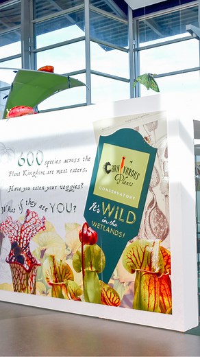 Step away from the screen and into a world of discovery at INFINITY Science Center! From interactive exhibits to real space artifacts -there’s so much to explore. 🌿🌌 📍 Plan your visit today! | INFINITY Science Center