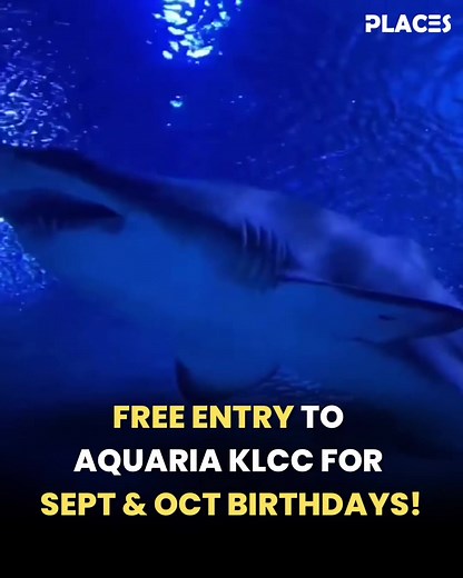 🎉 FREE Admission to Aquaria KLCC for September & October Birthdays! 🥳 . 📌 Celebrate your birthday with a FREE admission to Aquaria KLCC during your birthday month with the purchase of 1 adult walk-in ticket! 🎟️ If your birthday falls in September or October, it’s time for an unforgettable underwater adventure! 🐠 . 📆 Valid from 1 September – 31 October 2026 🎟️ Walk-in only ✅ MyKad/MyKid/PR is required for verification 👤 Must be accompanied by 1 adult with a walk-in ticket purchase . Tag y