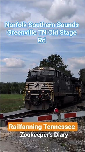 Norfolk Southern freight train Greenville TN Old Stage Rd Diesel 4807 Crossing Signal NS RAILROAD