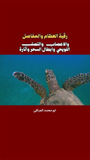 رقية شرعية مكتوبة ومسموعة للشفاء والحماية