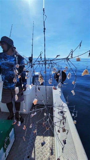2.8M views · 30K reactions | Meet Nauru's 'Christmas Tree' fishing method!  This clever T-shaped wire frame, rigged with multiple hooks, is the secret to successful bottom fishing for local snappers and groupers.  #fishing #Nauru #bottomfishing | Junior Joe II | Facebook
