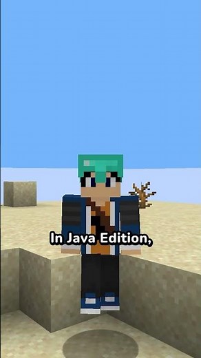 Java x Bedrock