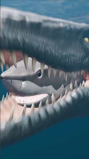 Big Fish eat Small fish | Clownfish Food Vs Mosasaurus Food