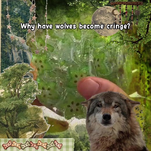 Understanding Wolves: Fascinating Facts and Insights