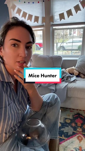 Effective Mouse Extermination Tips | Mouse Trap, Mouse Hole in House