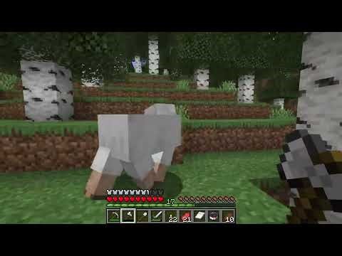 How to get Raw Mutton - Minecraft