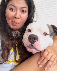 8.4K views · 343 reactions | When you're on the most awkward date ever but you're a nice person and stick it out bc he's cute. #tinderfail #teamweirdo #peoplearestaring .. .. Who's had a date with a Lincoln before?  .. .. Follow @noah_and_lincoln if you ❤️ hippos | Noah and Lincoln | Facebook