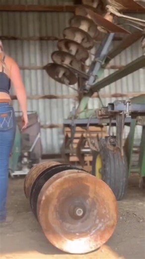 #farmgirl #farmersdaughter #dairyfarmer #fyp | Taylor Farm