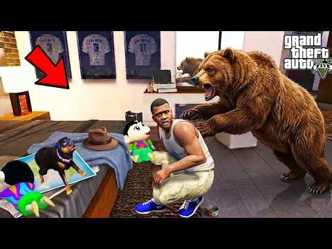 Franklin Tiger Hunting Wild Bear In Los Santos | Gta 5
