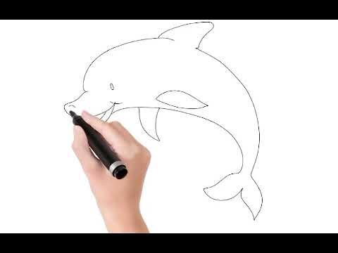 🐬 How to Draw & Color a Dolphin 🌈 | Easy Drawing for Kids 🎨