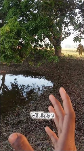 Bathing like a swimming pool in an Indian village?
