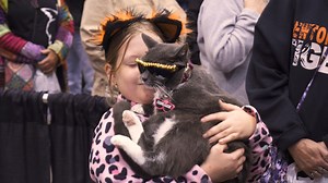 We believe that all cats are fancy, and we are partnering with local rescue groups and shelters to help support the welfare of cats in our community. You can meet their adoptable cats and learn about their missions at the CFA International Cat Show & EXPO! Get your tickets at https://bit.ly/CFAInternationalTickets | CFA - The Cat Fanciers' Association, Inc | Facebook