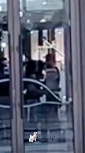 Did Wang Churan and Yang Yang Kiss in This Scene? Explore the Fireworks of My Heart Moment