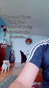 5.5M views · 254K reactions | Perros y gatos que nos salvan la vida!! Adopten! | Ghapad Generando Hogares de Amor Para Animales Desprotegidos AC | Facebook