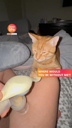 What a helpful kitty 😸 #cat #parenting | Lessons Learned In Life