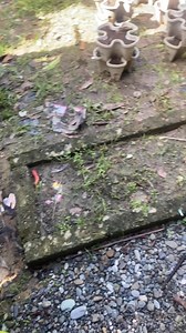 sun up na kaya grind #fblifestyle | Lyle Felia