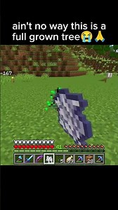 world's smallest tree ahh #minecraft #funny