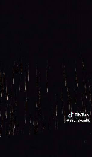 世界一の大花火 正四尺玉 World's Largest 48 inch Fireworks shells 片貝まつり奉納大煙火 This is the world's largest 48 inch fireworks shell, which was launched during the Katakai Festival on August 10, 2016, during the large fireworks dedicated to Asahara Shrine. It used to be the world's largest firework until it broke the Guinness World Record with a gigantic 142cm diameter firework in the United Arab Emirates.(Konosu fireworks = 105cm, Katakai Festival 114cm) I like the double-tiered Ascension Silver Dragon Gold Th