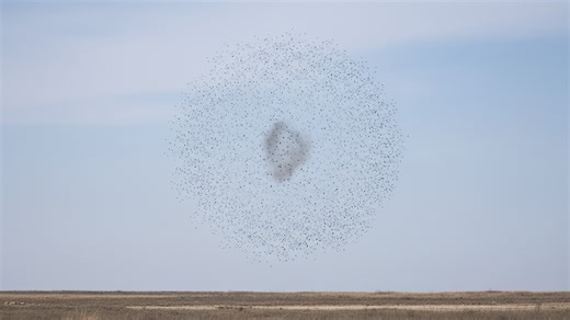 Why certain materials are banned in modern airburst weapons