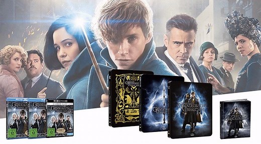Phantastische Tierwesen: Grindelwalds Verbrechen (2018) – verschiedene Varianten/ Editionen in der Übersicht https://collectors-junkies.com/2019/03/10/phantastische-tierwesen-grindelwalds-verbrechen-2018-verschiedene-varianten-editionen-in-der-uebersicht/ | Collectors-Junkies