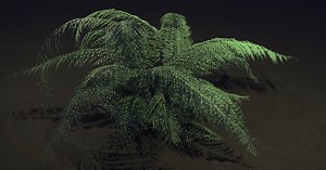 Developing a Simple Foliage Tool in Houdini
