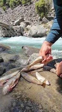 Trout fish Catch clean and cook in beautiful mountain river side 🐟 | Mountain man survival skills