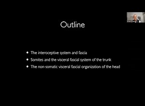 Embryological Development of Visceral and Pharyngeal Fascia