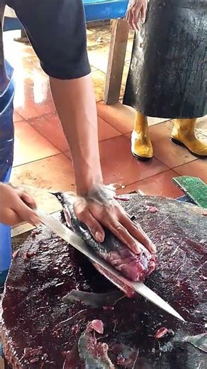 Quick & Practical⚡How to Fillet Skipjack Tuna like a Pro! #fish #tunacutting #knifeskills #shorts