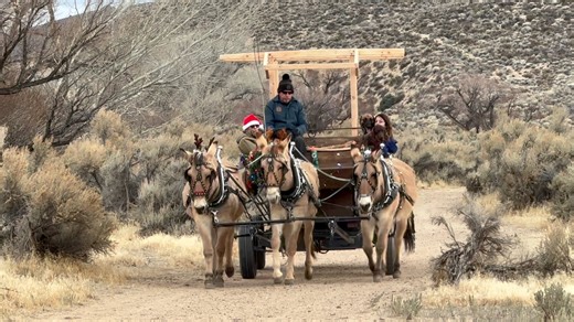 Let’s take a Christmas wagon ride with David Dineen’s Norwegian Fjord Mules at the Silver Saddle Ranch in Carson City. A beautiful open space protected from development where you can hike along the Carson River. Music by Tripp Whitney and The Free Labor, “Christmas Time is Coming” a song I was honored to be featured on! Enjoy the views and Merry Christmas to you all! | Adventures With Jeff Martinez