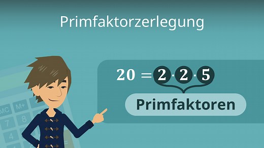 Primfaktorzerlegung • einfach erklärt