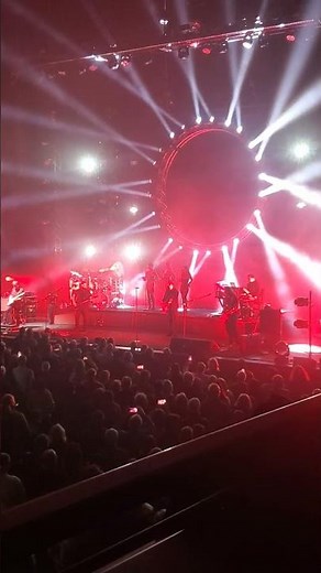 Aussiefloyd 2025 Berlin Comfortably Numb #apfs #pinkfloyd