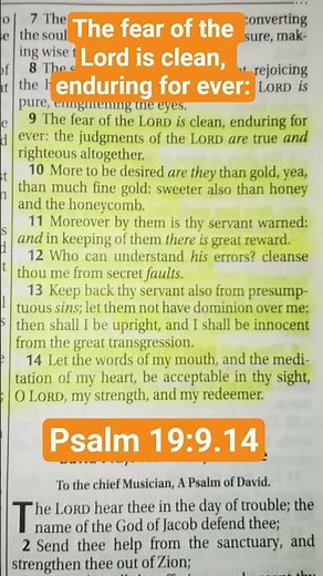 “The Fear of the Lord Is Pure | Psalms 19:9”