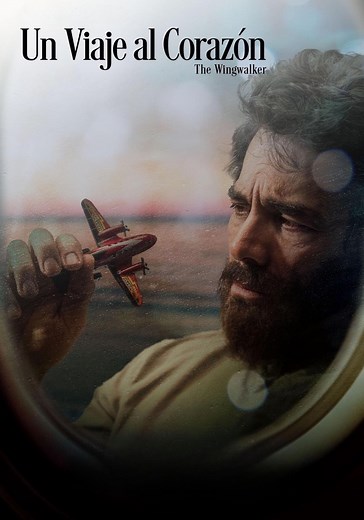 Un Viaje Al Corazón - película: Ver online en español