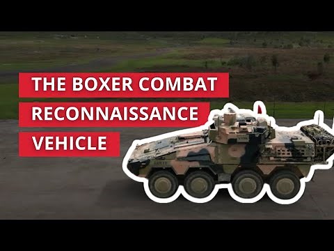 The Boxer CRV in Action | Exercise Damascus
