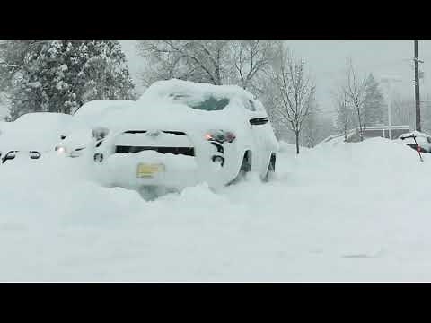 Drive A 4Runner, Slay The Snow