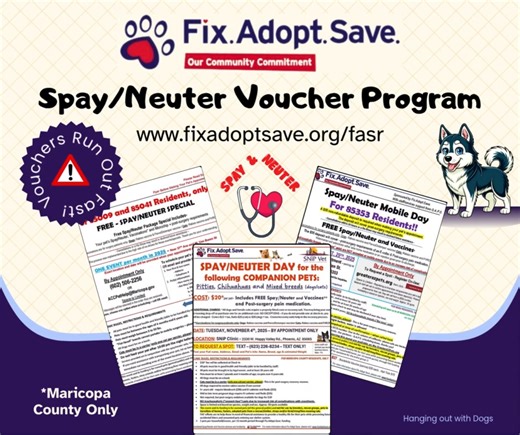 📣 Spay/Neuter Vouchers are Available! 🎊 ✂️🥜 Fix. Adopt. Save. has vouchers available for Maricopa County residents! Hurry, they go fast! Follow all instructions carefully, and don't miss your appointment. Make use of the generosity of our community & help control the dog population. 💕 👇GO HERE: www.fixadoptsave.org/fasr 🏃 #spayandneuteryourpets #spayandneuter #freespayneuter #hangingoutwithdogs | Hanging Out With Dogs