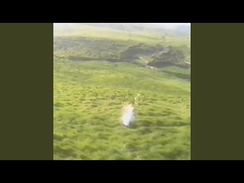 あなたの運命は星にあるのではなく、あなたの手のひらにある