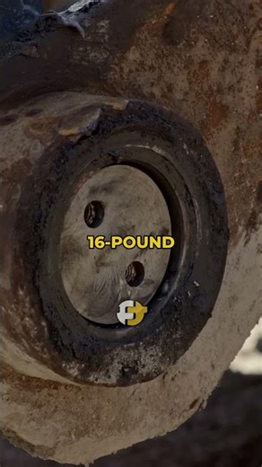 The Pissed Off Bumblebee!