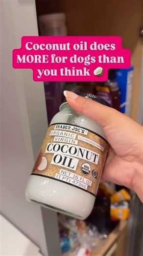 Mini Goldendoodle & Dog Mom Lifestyle on Instagram: "🚨 This hit 3M views because it actually works. 🚨 📌 SAVE this — you’ll want it later. One simple ingredient. Big dog health benefits 🐾 Coconut oil has been a staple in our routine, and millions of dog parents shared this for a reason: 🥥 Supports brain health (especially for senior pups) 🥥 Helps boost energy + support a healthy weight 🥥 Can naturally support flea + tick defense No complicated routines. No overpriced supplements. Just smal