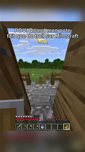 Quand ton pote fait que de troll sur Minecraft 😭🙏